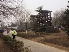 -绿堤公园