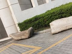 -南山图书馆(常兴路店)