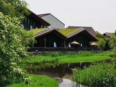 -西湖风景区-江洋畈生态公园