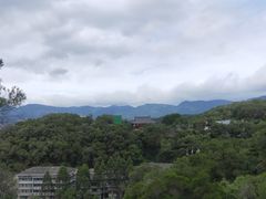 -金鸡山公园