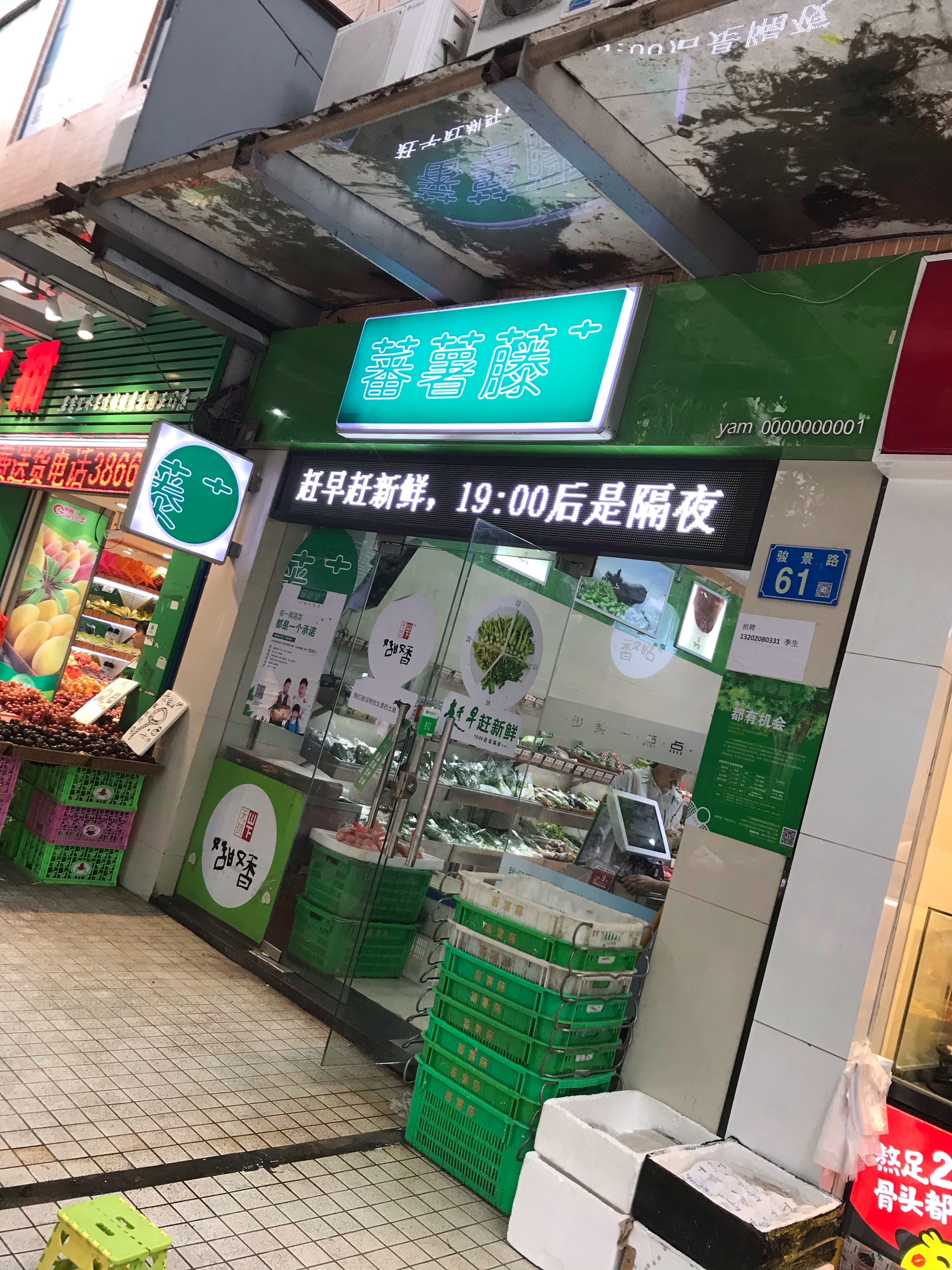 番薯藤门店图片