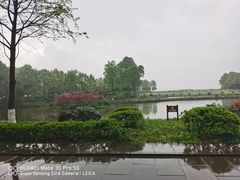 -邓小平故里