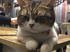 -小时光咖啡馆(开森度假森林店)