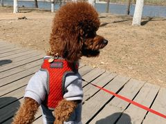 -长白岛森林公园