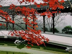 -秋霞圃