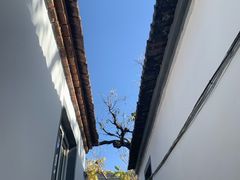 -燕喜堂·中华老字号(大明湖店)