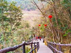 -宁波五龙潭景区