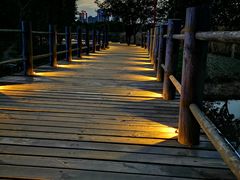 -眉山湿地公园(东坡区)