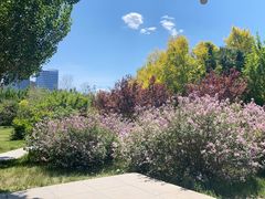 -长春公园(普阳街道)