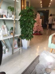 -至臻康妍健康管理中心