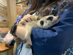 -藦茜花园宠物主题亲子互动体验馆(国顺东路店)