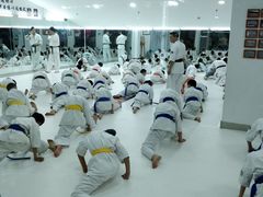 -极真空手道修远道场