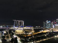 -新加坡瑞士史丹福酒店