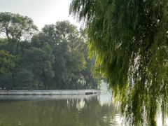 -北陵公园