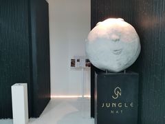 -Jungle Nat 高空餐厅