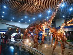 -国家自然博物馆