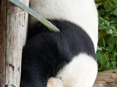-青藏高原野生动物园