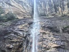 -朱雀国家森林公园