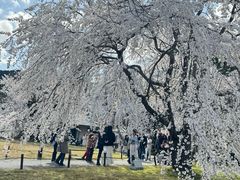 -醍醐寺