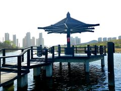 -前关湿地公园
