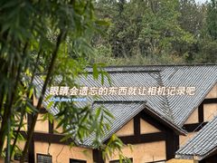 -崇阳三特浪口温泉