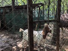 -草根堂农场