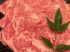 -然锅料理