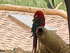 -石家庄市动物园