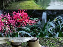 -升仙湖公园