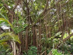 -台山颐和温泉城