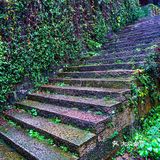 越王台
