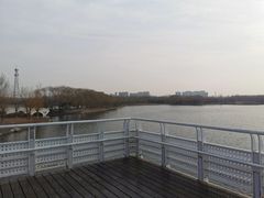 -大兴滨河森林公园