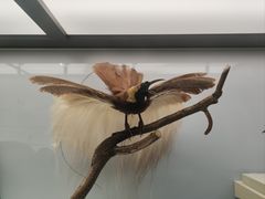 -大连自然博物馆