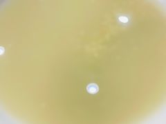 -庆丰包子铺(田村店)