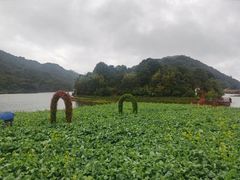 -广州市石门国家森林公园