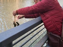 -苏州河梦清园环保主题公园