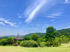-龙寺生态园