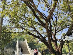 -荔园小馆(园岭新村二期店)