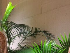 -大头椰·椰子鸡火锅(南宁万象城店)