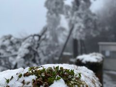 -娄山关景区