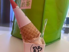 -野人先生现做冰淇淋(北京王府井东方新天地店)