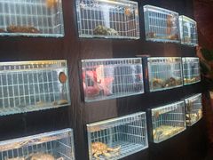 -鱼翅楼·津派砂锅鱼翅(水上公园店)