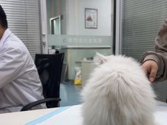 -美美宠物诊疗中心·异宠·骨科(滨江东信分院)