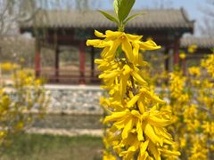 -张家湾公园
