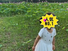 -东郊湿地公园