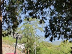 -阳台山自然风景区