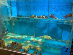 水产区-鲜入围煮花胶鸡海鲜火锅