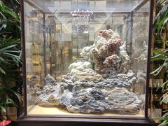 -顺风海鲜港(金玉兰店)