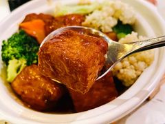 日式花菇豆腐煲-T館·花园艺术餐厅