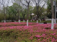 -映月湖中央公园